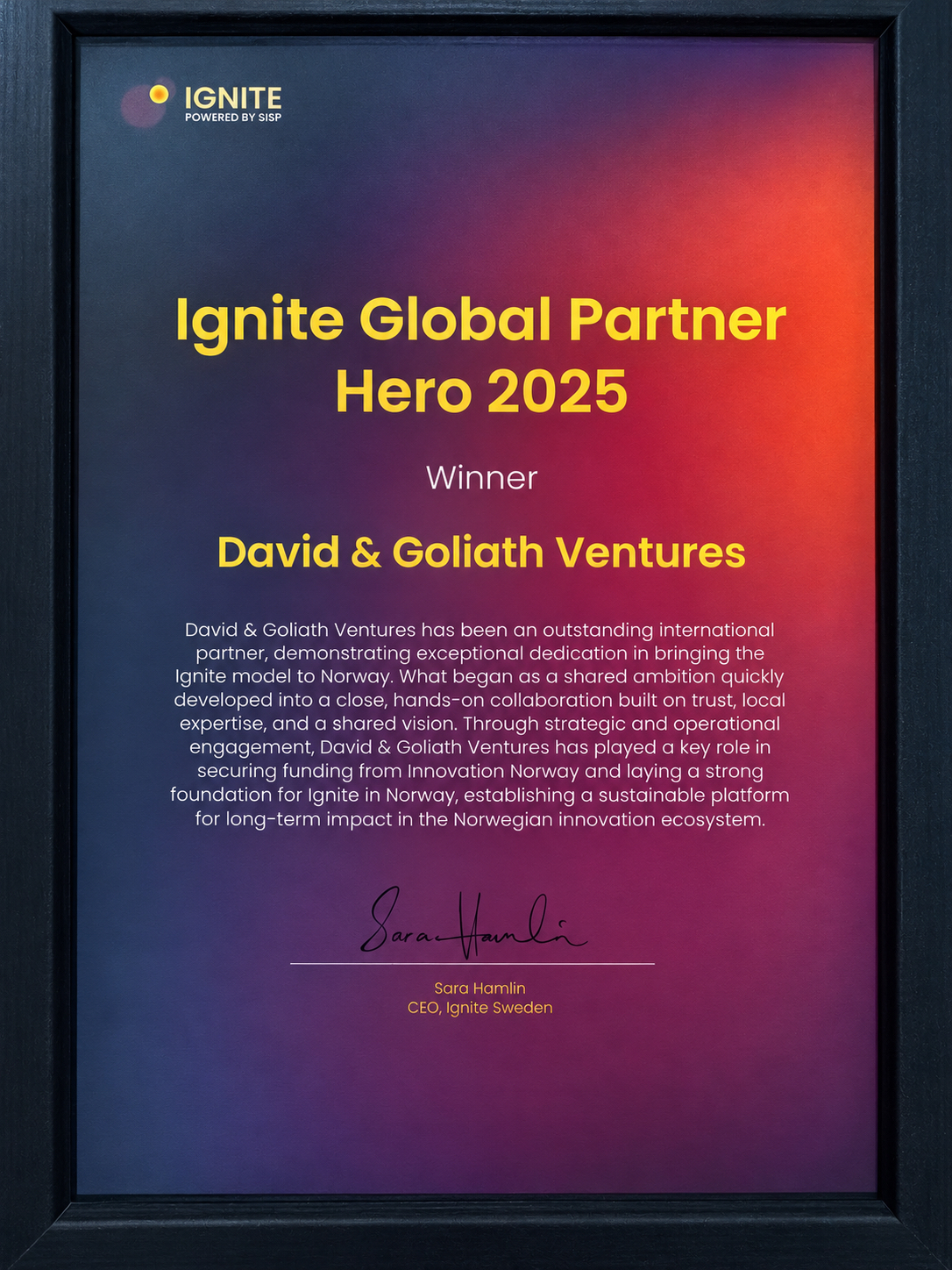 Diplom: Ignite Global Partner Hero 2025 — vinner David & Goliath Ventures